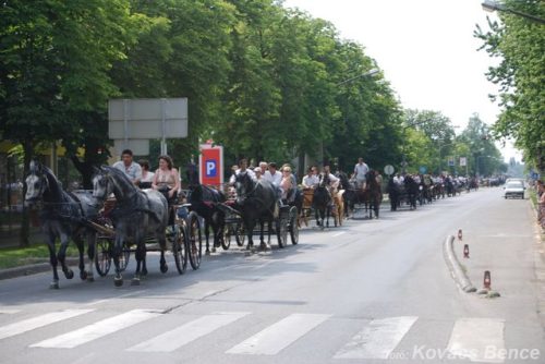 Tekintse meg galériánkat! (1/24)