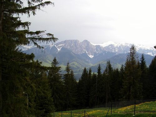 Tekintse meg galériánkat! (1/13)