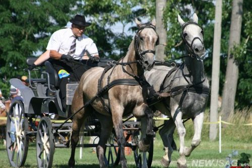 Tekintse meg galériánkat! (1/44)