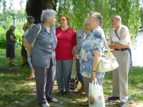 Tekintse meg galériánkat! (1/16)