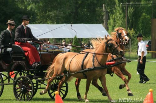 Tekintse meg galériánkat! (1/42)