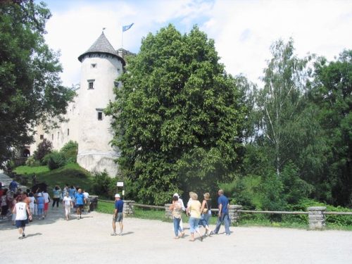 Tekintse meg galériánkat! (1/11)