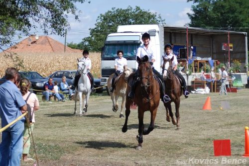 Tekintse meg galériánkat! (1/15)