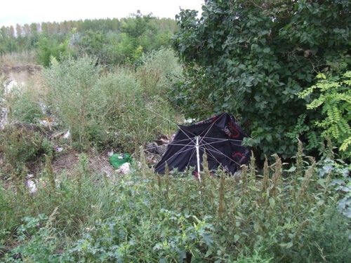 Tekintse meg galériánkat! (1/14)