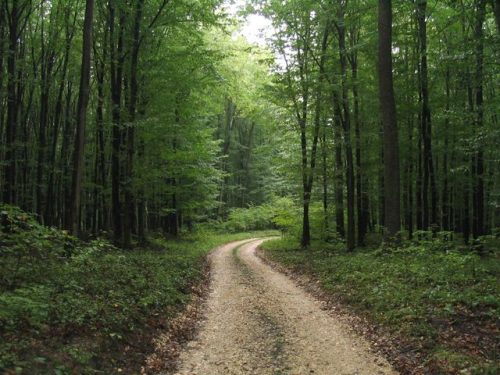 Tekintse meg galériánkat! (1/22)