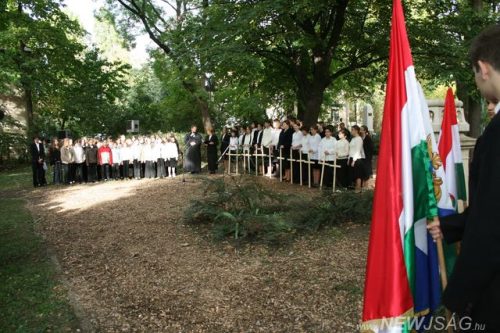 Tekintse meg galériánkat! (1/25)