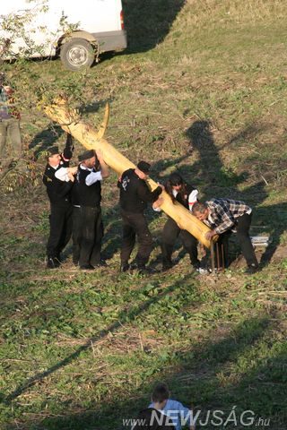 Tekintse meg galériánkat! (1/21)