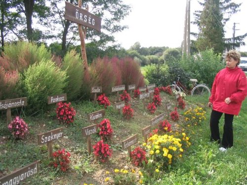 Tekintse meg galériánkat! (1/20)