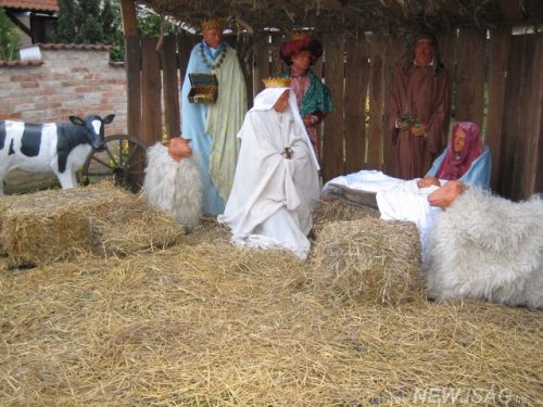 Tekintse meg galériánkat! (1/14)