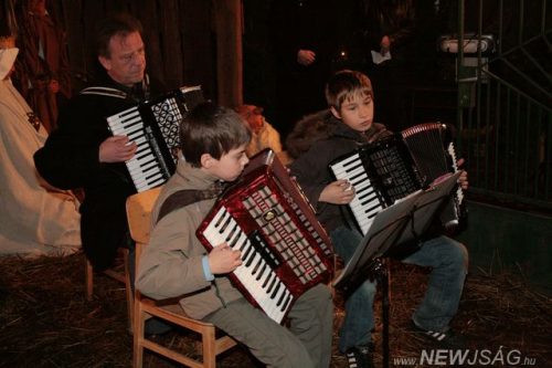 Tekintse meg galériánkat! (1/19)