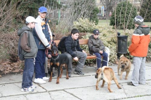 Tekintse meg galériánkat! (1/13)