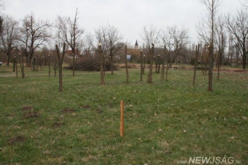 Tekintse meg galériánkat! (1/4)