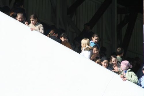 Tekintse meg galériánkat! (1/21)