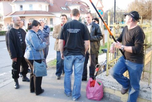 Tekintse meg galériánkat! (1/10)