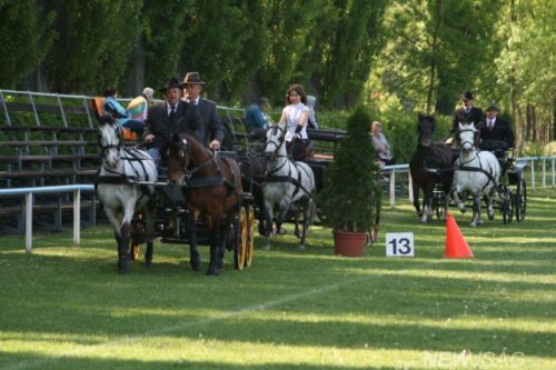 Tekintse meg galériánkat! (1/30)