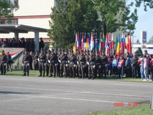 Tekintse meg galériánkat! (1/20)