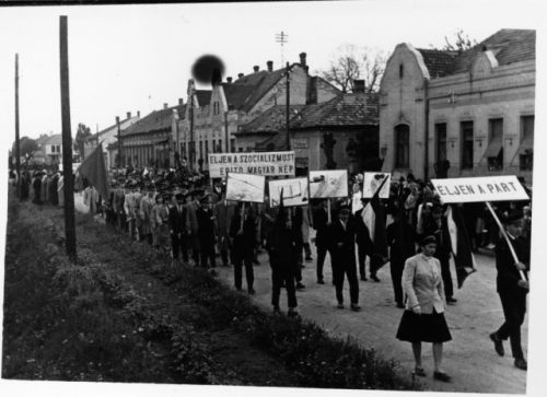 Tekintse meg galériánkat! (1/3)