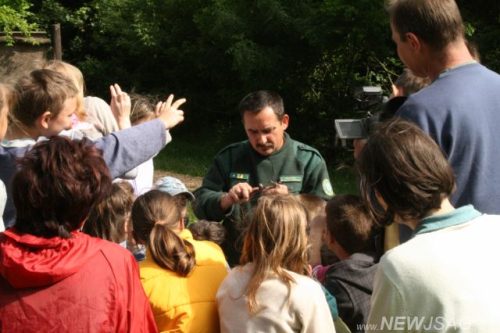 Tekintse meg galériánkat! (1/13)