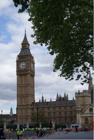 Tekintse meg galériánkat! (1/24)