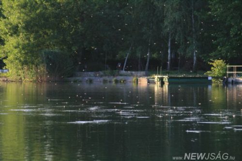 Tekintse meg galériánkat! (1/10)