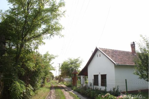 Tekintse meg galériánkat! (1/21)