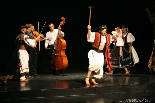 Tekintse meg galériánkat! (1/21)