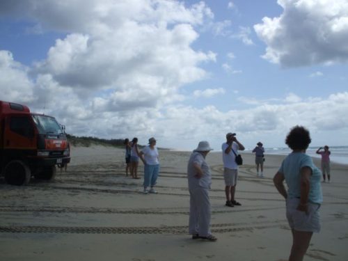 Tekintse meg galériánkat! (1/55)