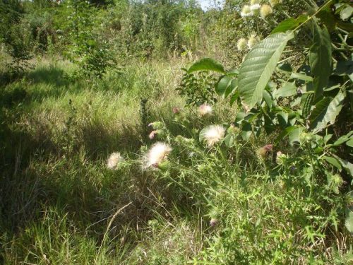 Tekintse meg galériánkat! (1/8)