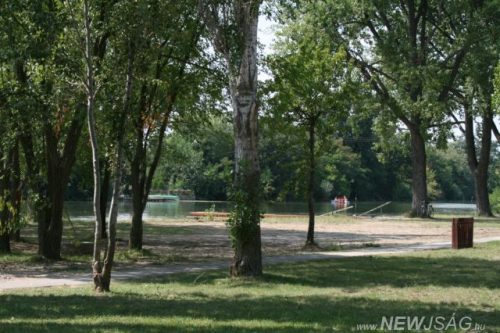 Tekintse meg galériánkat! (1/12)