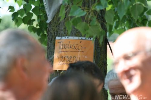 Tekintse meg galériánkat! (1/32)