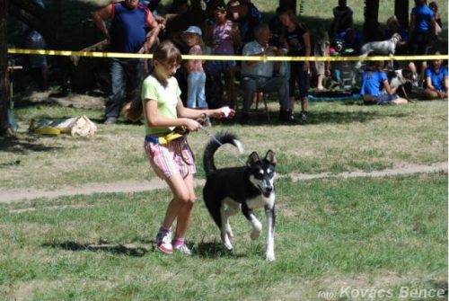 Tekintse meg galériánkat! (1/20)
