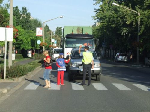 Tekintse meg galériánkat! (1/3)