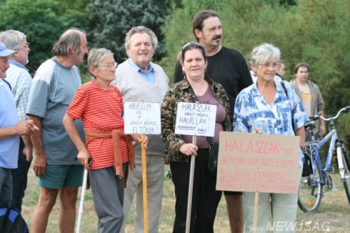 Tekintse meg galériánkat! (1/13)