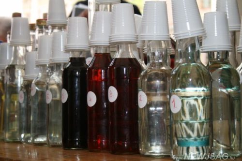 Tekintse meg galériánkat! (1/40)