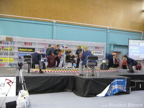 Tekintse meg galériánkat! (1/8)