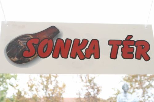 Tekintse meg galériánkat! (1/55)