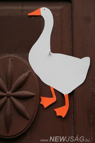 Tekintse meg galériánkat! (1/14)