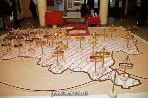 Tekintse meg galériánkat! (1/21)