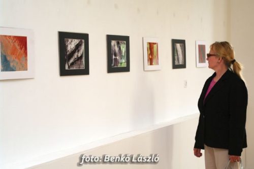 Tekintse meg galériánkat! (1/8)