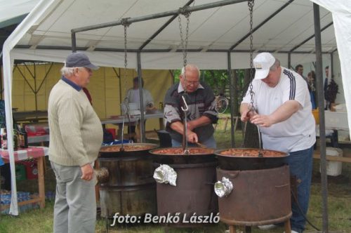 Tekintse meg galériánkat! (1/20)