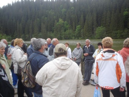 Tekintse meg galériánkat! (1/13)