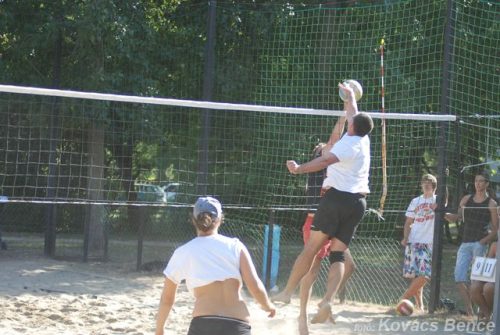 Tekintse meg galériánkat! (1/28)