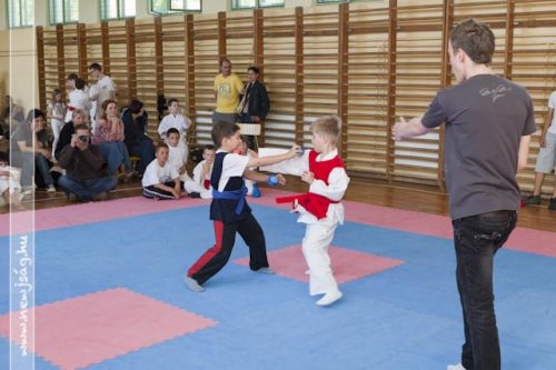 Tekintse meg galériánkat! (1/34)