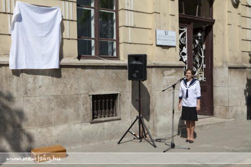 Tekintse meg galériánkat! (1/15)