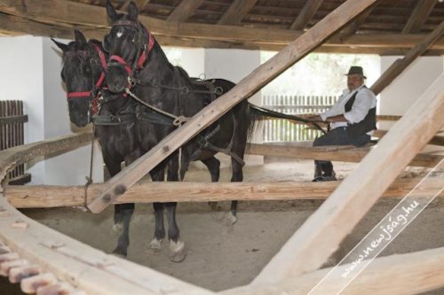 Tekintse meg galériánkat! (1/15)