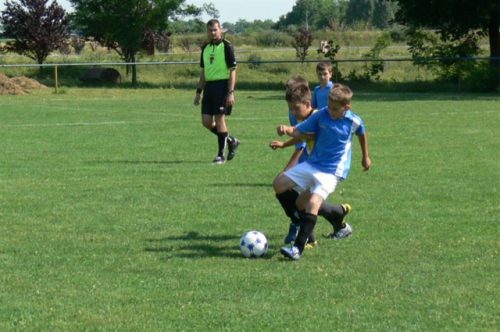 Tekintse meg galériánkat! (1/36)