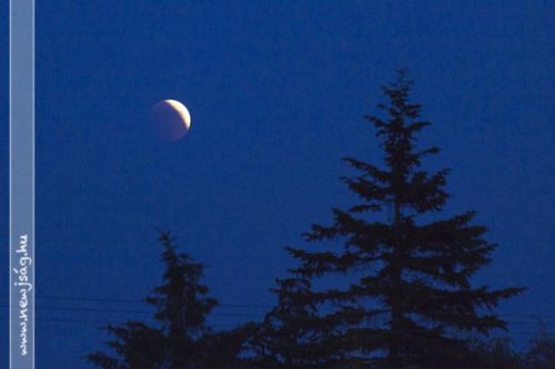 Tekintse meg galériánkat! (1/16)