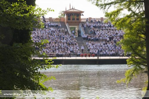 Tekintse meg galériánkat! (1/29)