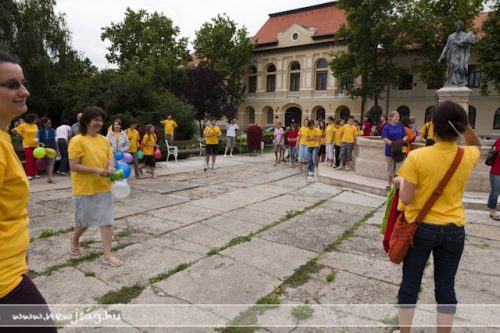 Tekintse meg galériánkat! (1/14)