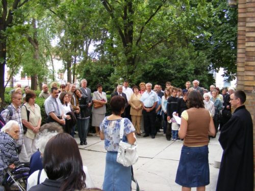 Tekintse meg galériánkat! (1/32)